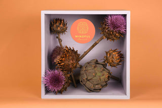 Mindful Movement Bild mit Blumen in einem farbigen Holz-Kasten auf Papierhintergrund als Symbolbild für Geschenkgutscheine