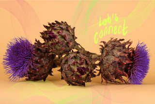 Mindful Movement: Blumen, mit fester Knospe und faserigen Blüten, die auf einem knalligen Papierhintergrund liegen. Das Bild ist mit handgeschriebenem Text versehen: Let's connect
