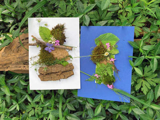 Waldbaden Naturmaterialien Übung. Auf dem bewachsenem Waldboden liegen Papiere, die mit Naturmaterialien gestaltet sind.
