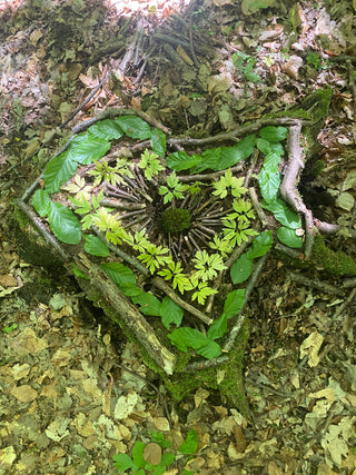 Was ist Waldbaden?