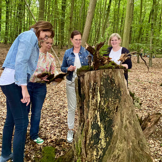 Vier Frauen sind im Wald und bauen gemeinsam an einem Baumstumpf eine Skulptur beim Waldbaden in Münster