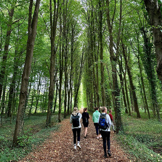 mindful-movement-waldbaden-teamevent