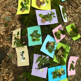 Zu sehen sind viele Waldpostkarten gestaltel beim waldbaden Workshop in Mürnster von Marleen Jansen bei einem Teamevent.